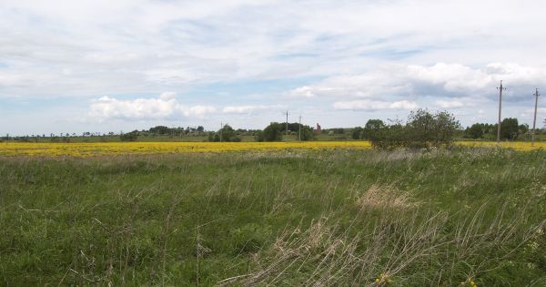 Blick von Doblendszen nach Groß Schorellen (Adlerswalde, Saratovskoje) mit Kurchturmruine