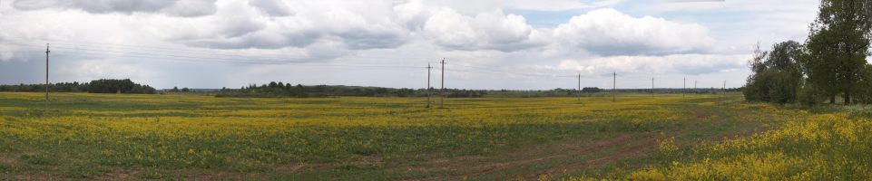 Panorama bei Szameitkehmen (Lindenhaus, Bolotnikowo)